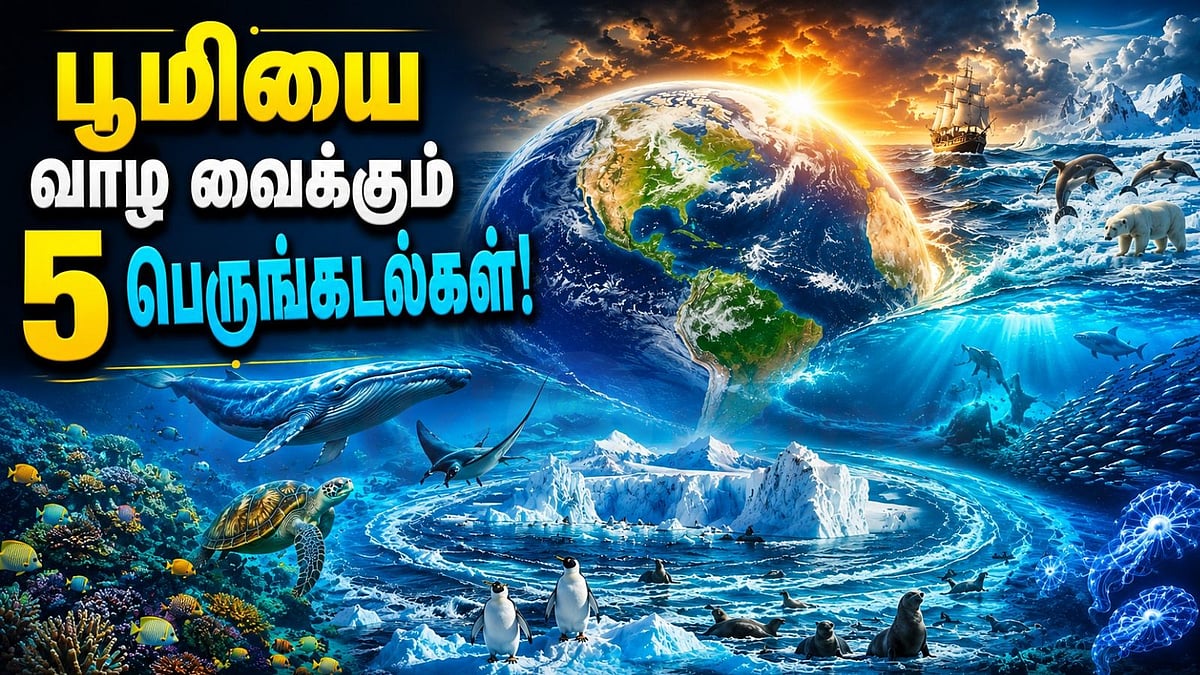 ஏன் பெருங்கடல்களை பாதுகாக்க வேண்டும்? பூமியின் நீலப் புரட்சியின் கதை!