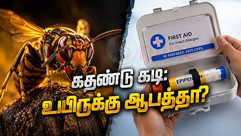 Wasp bite | கதண்டு கடி