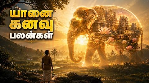 யானை கனவு பலன்கள்