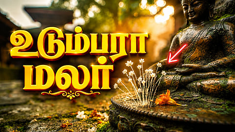 உடும்பரா மலர் | Udumbara Flower