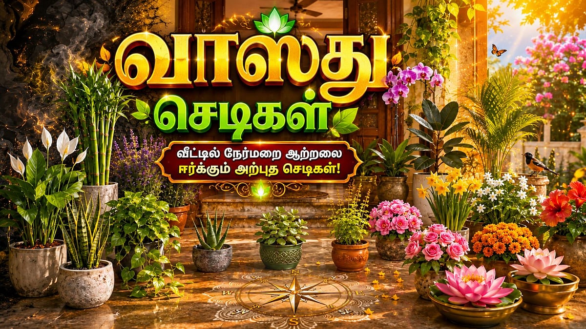 வீட்டில் செல்வம் செழிக்க வளர்க்க வேண்டிய 20 வாஸ்து செடிகள்!