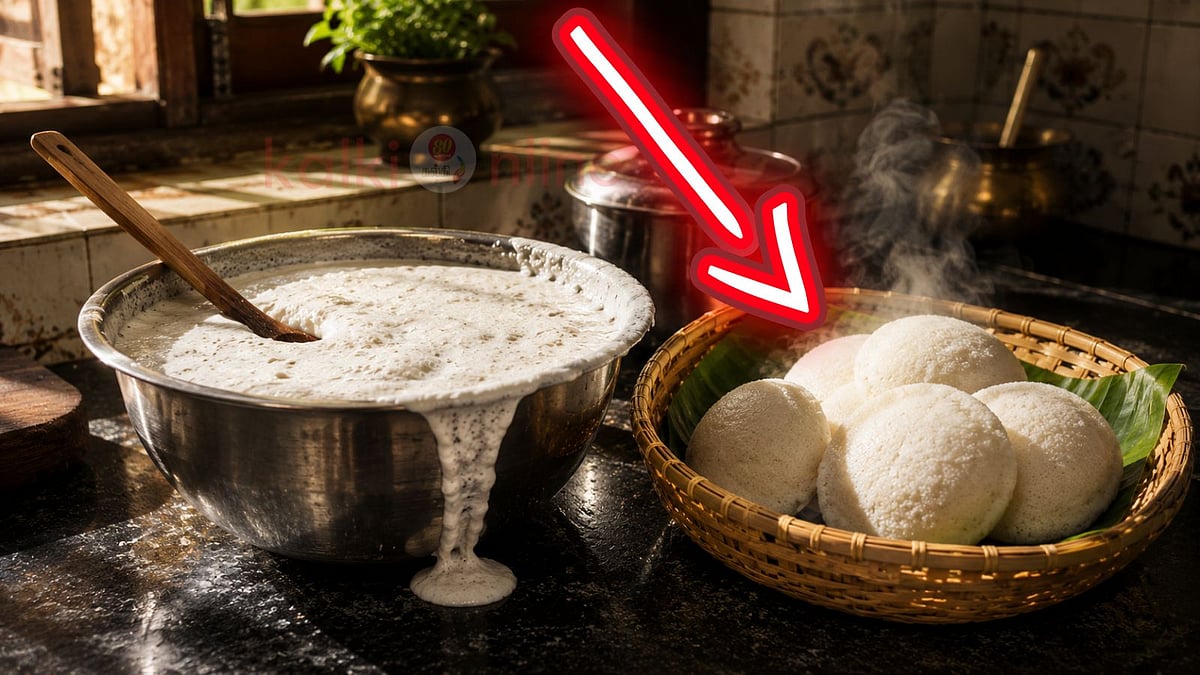 idli batter ratio: இனிமேல் கடையில் இட்லி வாங்கவே மாட்டீங்க... அவ்ளோ சாஃப்ட்டா வீட்லயே செய்யலாம்!