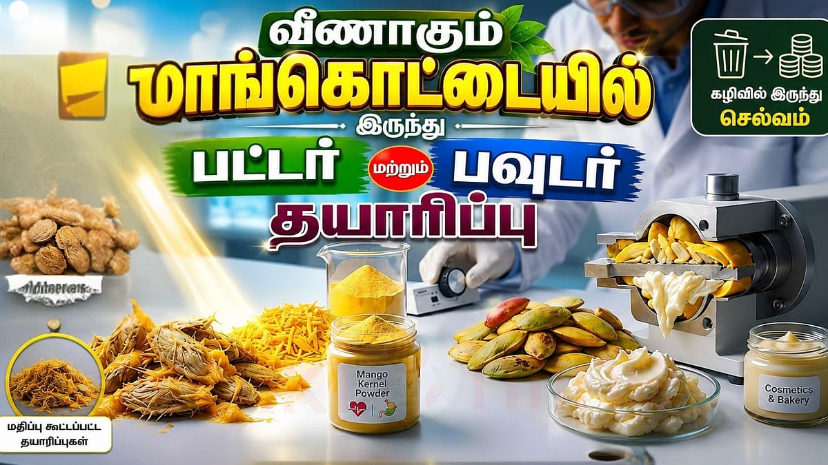 மாங்கொட்டையில் இருந்து மதிப்புமிக்க பொருட்கள் தயாரிப்பு - பீகார் விஞ்ஞானிகள் சாதனை!
