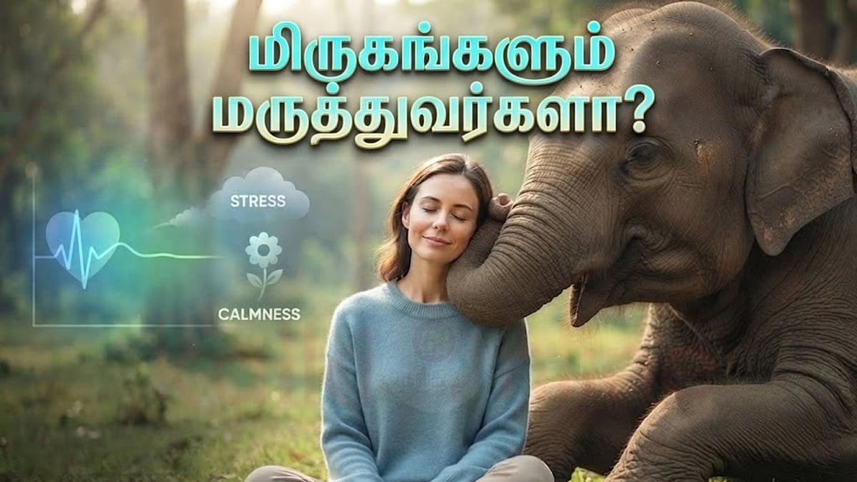 மிருகங்களும் மருத்துவர்களா? விலங்குகளைப் பார்ப்பதால் கிடைக்கும் வியக்க வைக்கும் நன்மைகள்!
