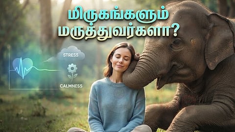 மன அழுத்தம் | woman with elephant
