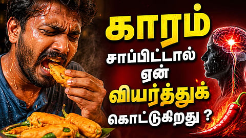 கார உணவுகள் - Capsaicin Effect