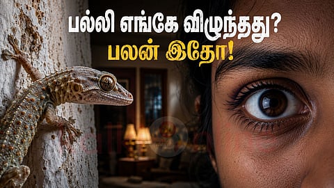 Lizard omen astrology | பல்லி விழும் பலன்கள்