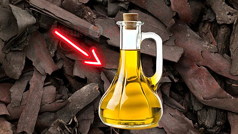 vembalam pattai hair oil வேம்பாளம் பட்டை