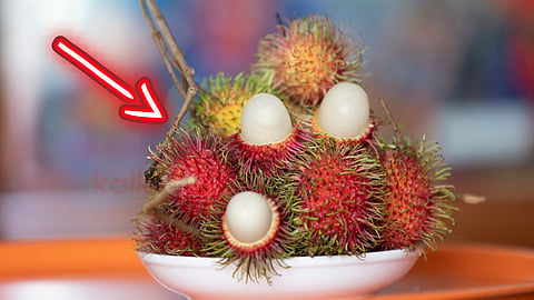 rambutan benefits