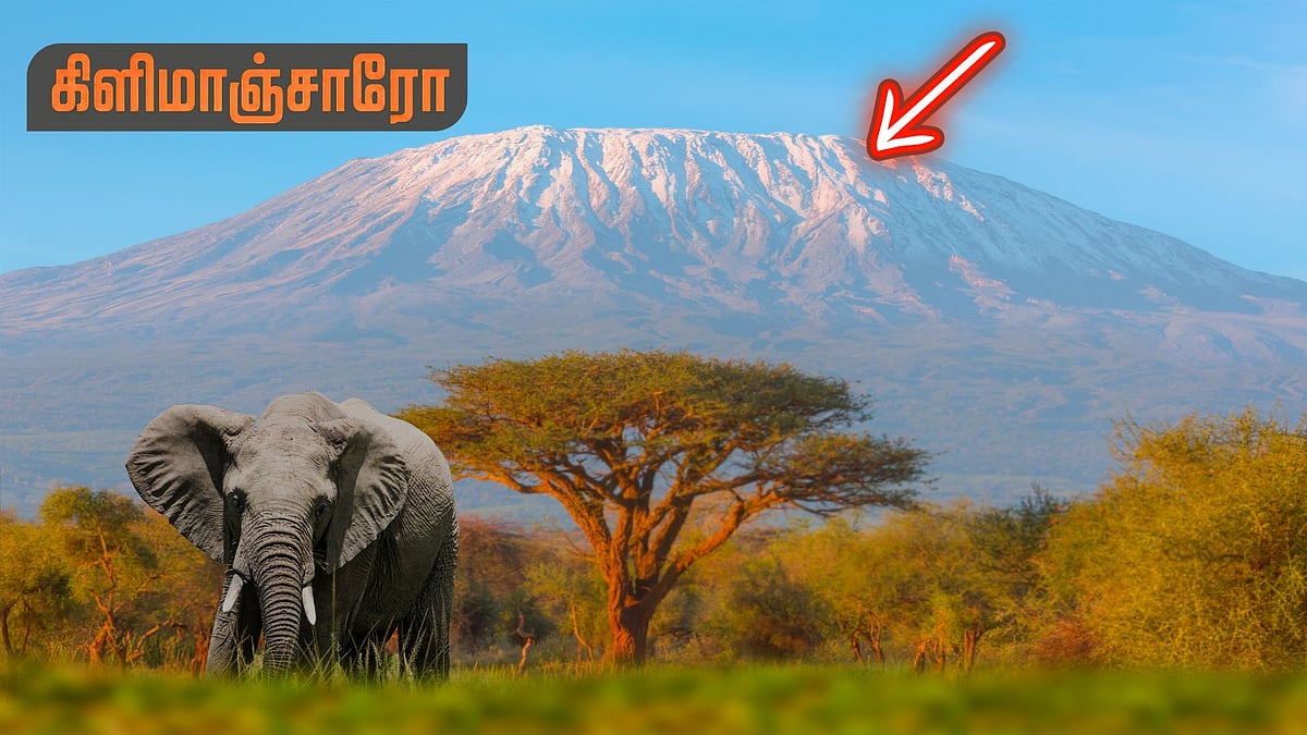 உலகமே உறைந்து பார்க்கும் கிளிமாஞ்சாரோ மலையின் ரகசியம் என்ன?