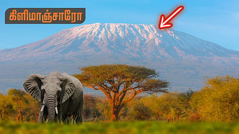 கிளிமாஞ்சாரோ | Kilimanjaro
