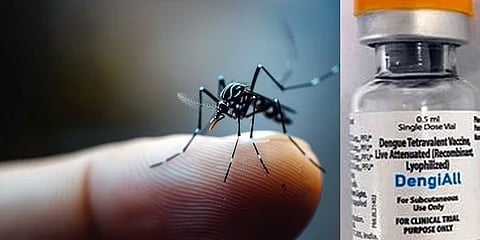 டெங்கு தடுப்பூசி டெங்கிஆல்