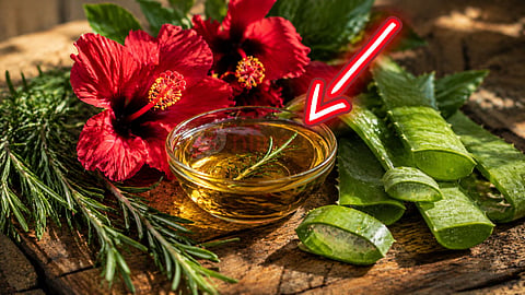 Home remedies for hair முடி வளர்ச்சி