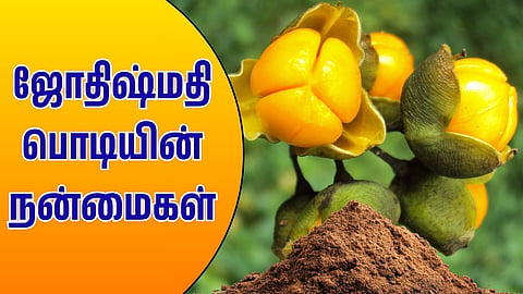 Jyotishmati Powder | ஜோதிஷ்மதி பொடி