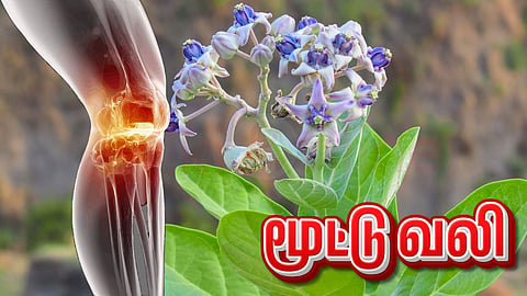 Joint pain | மூட்டு வலி