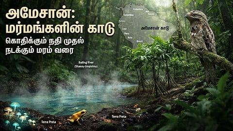 அமேசான் காடுகள் | Amazon rainforest
