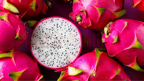 Dragon Fruit | டிராகன் பழம்