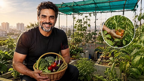 மாடி தோட்டம் R Madhavan organic gardening