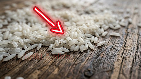 பிளாஸ்டிக் அரிசி Fake rice myth