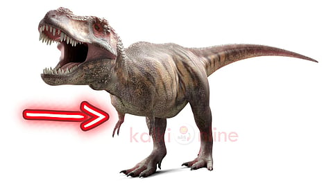 டி-ரெக்ஸ் கைகள் T rex small arms