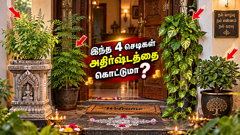 வாஸ்து செடிகள் Lucky plants for front door