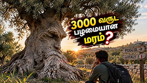 சிந்திக்கும் மரம் Thinking tree Italy