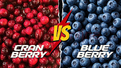 Cranberry vs Blueberry | பெர்ரி நன்மைகள்