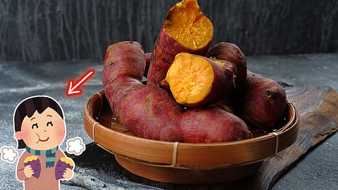 சர்க்கரைவள்ளிக் கிழங்கு | sweet potato