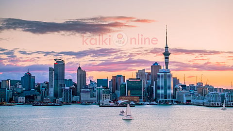 நியூசிலாந்து பயணம் New Zealand wildlife