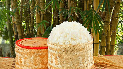 Bamboo rice - மூங்கில் அரிசி நன்மைகள்