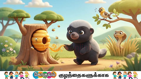 தேன் வளைக்கரடி | Honey Badger