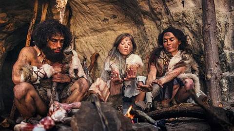நியண்டர்தால் மனிதர்கள் - Neanderthal history