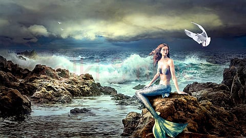 கடல் கன்னி - Mermaid facts