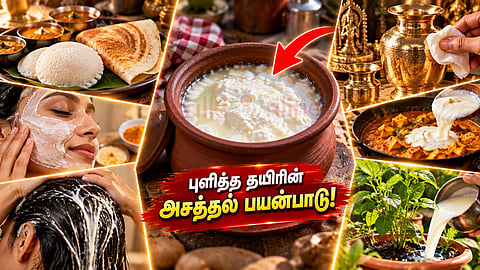 புளித்த தயிர் Sour curd uses