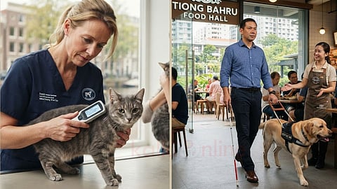 செல்லப்பிராணிகள்  | Microchipping cats and Guide dogs allowed in restaurants 