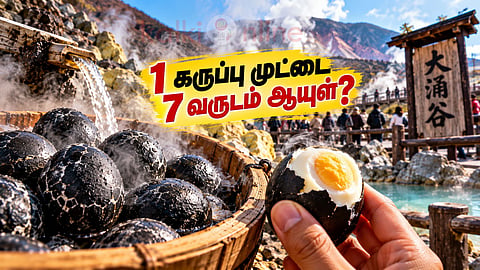 கருப்பு முட்டை Owakudani black eggs