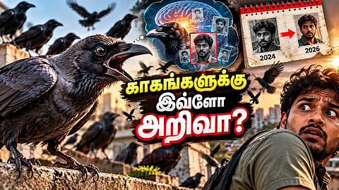 காகத்தின் நினைவாற்றல் Crow memory facts