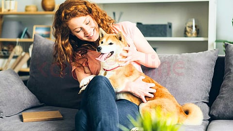பெட்ஸ் பராமரிப்பு - Pet Care Tips