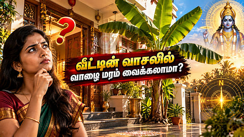 வாழை மரம் Banana tree vastu