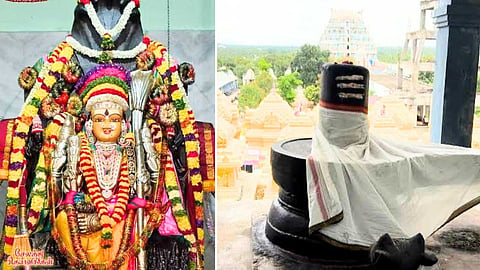 சிவலிங்கம் கோவில் - Salem 1008 Shivalingam Temple