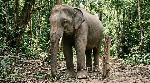 வெற்றி