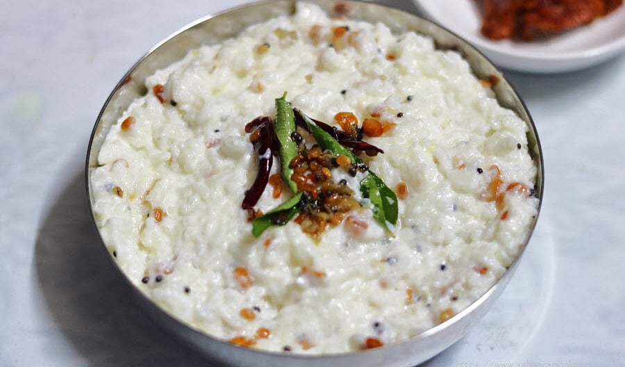 Curd rice | தயிர் சாத பிரியரா நீங்க? அப்போ அதுல இருக்கிற நன்மைகள ...