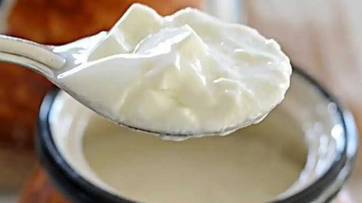 Curd Menuos Curd recipe | தயிர் மிஞ்சிருச்சா.. கவலை வேண்டாம்.. வெரைட்டியான டிஷ் ...