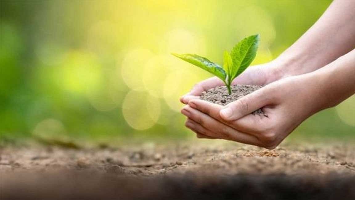 3 R Environmental Philosophy!