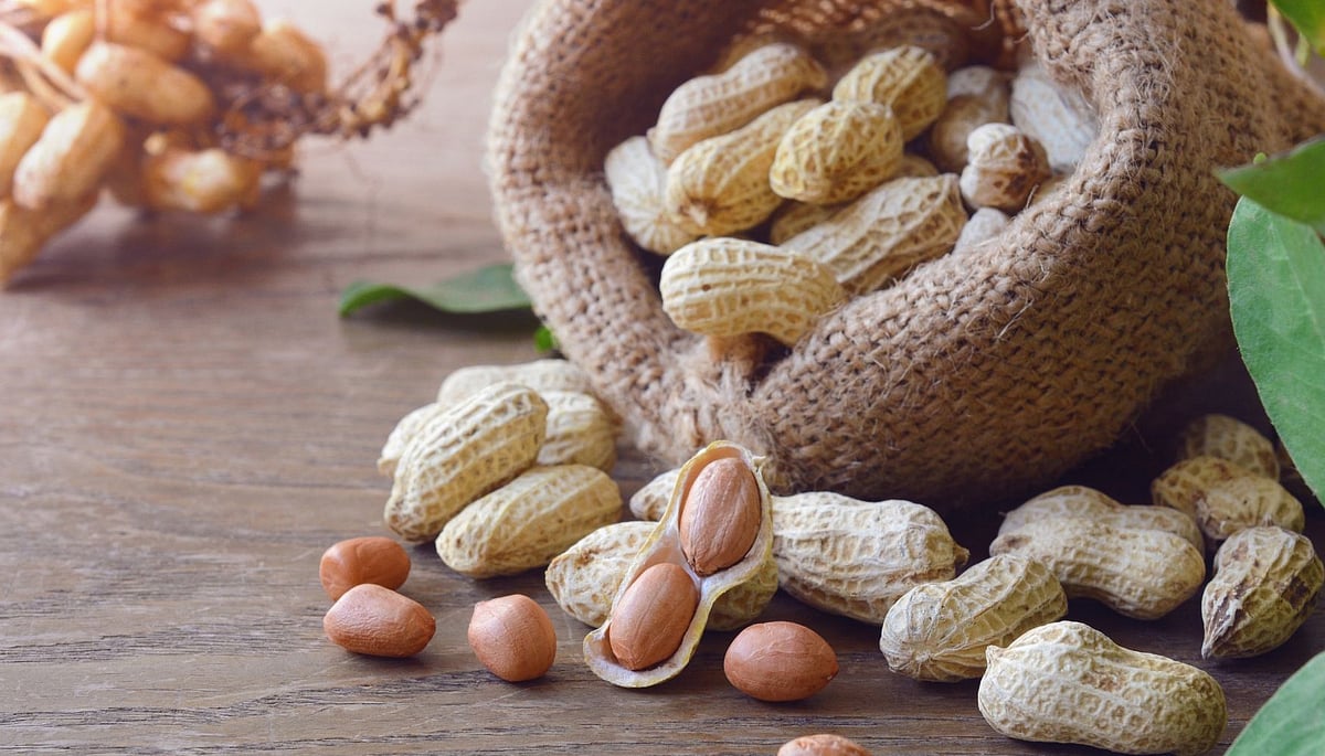 Do you know what happens if you eat too much groundnut?
