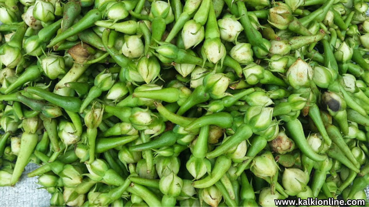 Mookuththi avarai Fry