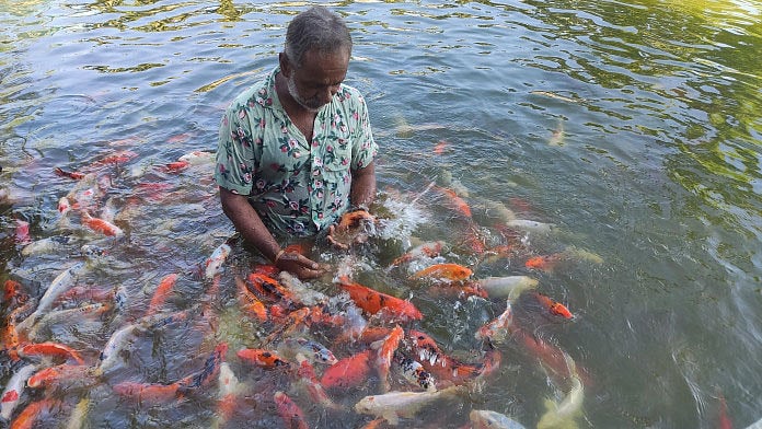 Farmers can earn through any type of fish farming