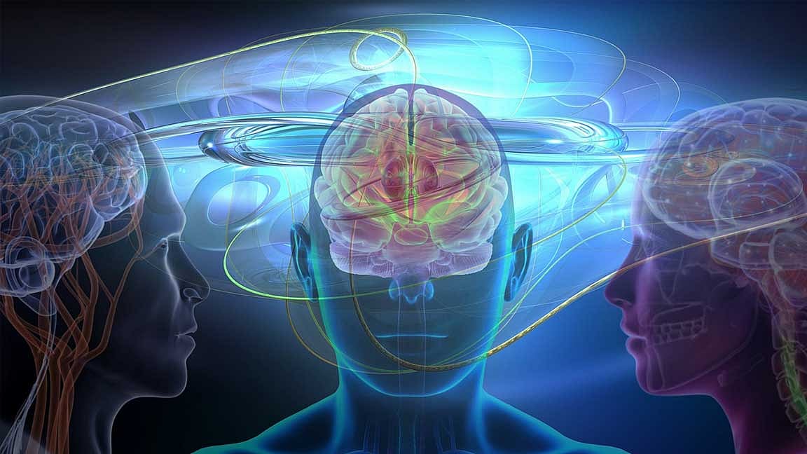 Do you know what the secret of the brain is?