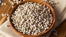 Navy beans prevent cancer புற்றுநோயை தடுக்கும் நேவி பீன்ஸ்!