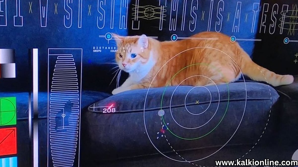 Seekor kucing berjarak 3 juta kilometer…dan NASA telah mencapainya! Video resolusi tinggi yang diambil dari pesawat luar angkasa NASA Seekor kucing berjarak 3 juta kilometer…dan NASA telah mencapainya! Video resolusi tinggi yang diambil dari pesawat luar angkasa NASA